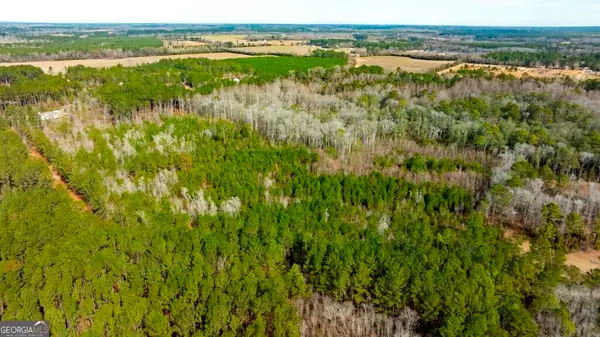 0 RIGGS MILL LA Riggs Mill Lane, Statesboro, GA 30458