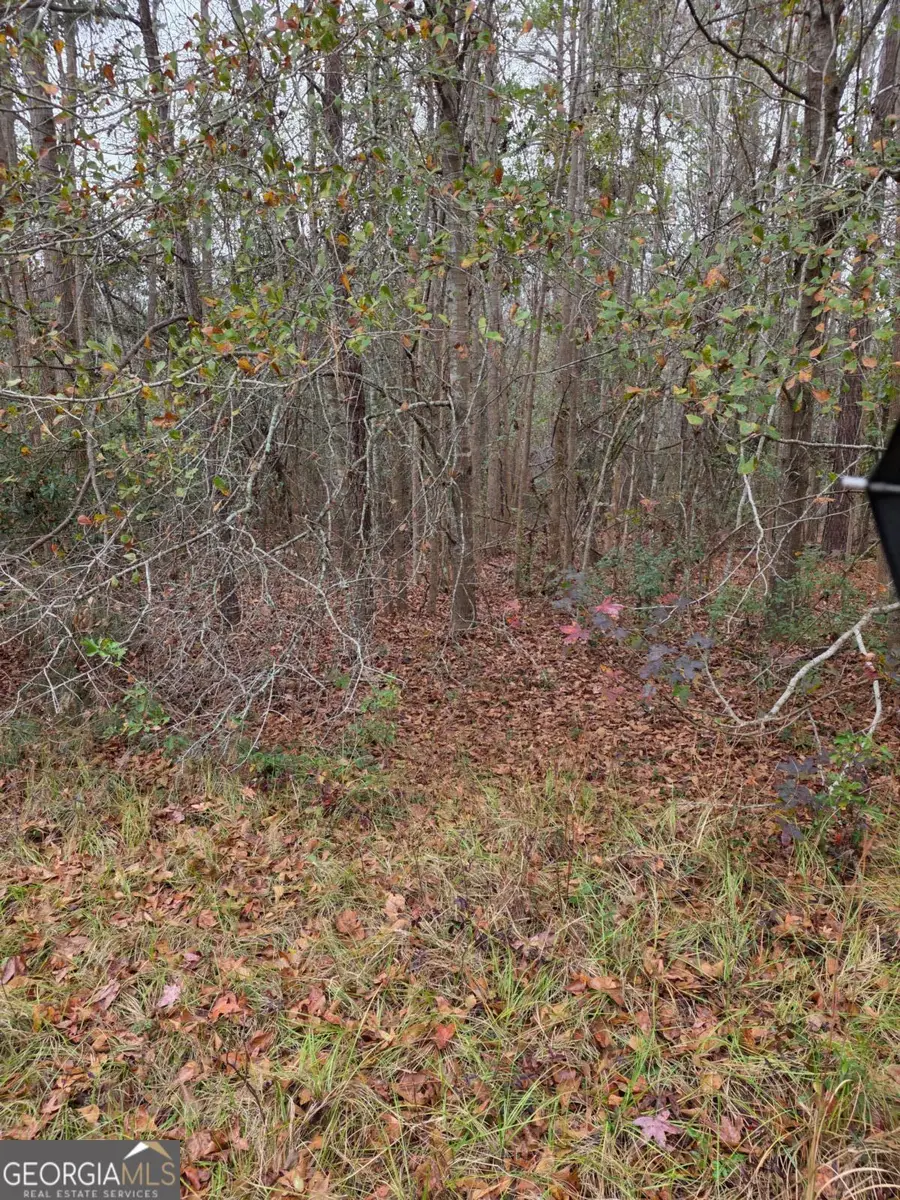 861 Brinson Road, Brooklet, GA 30415 - #2