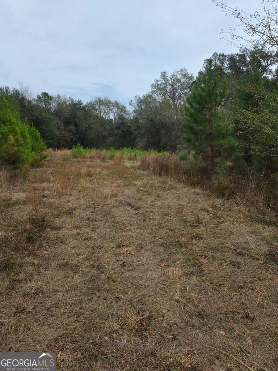 861 Brinson Road, Brooklet, GA 30415 - #3