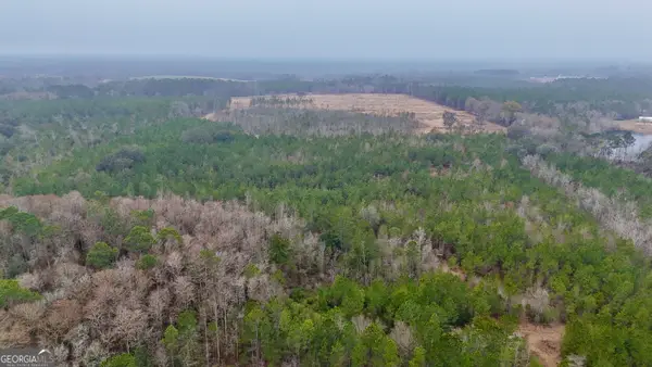 0 Edith Tillman Road, Glennville, GA 30427