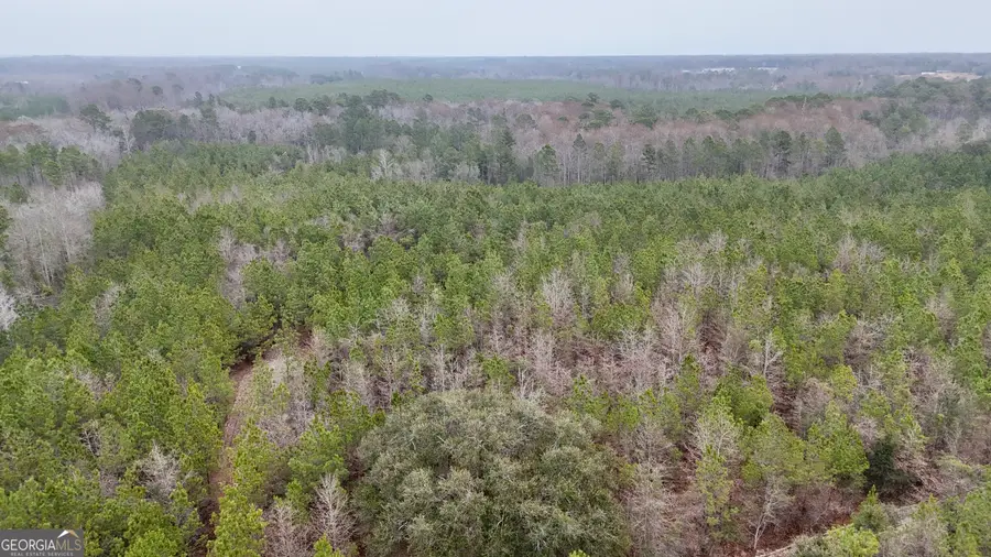 0 Edith Tillman Road, Glennville, GA 30427 - #3