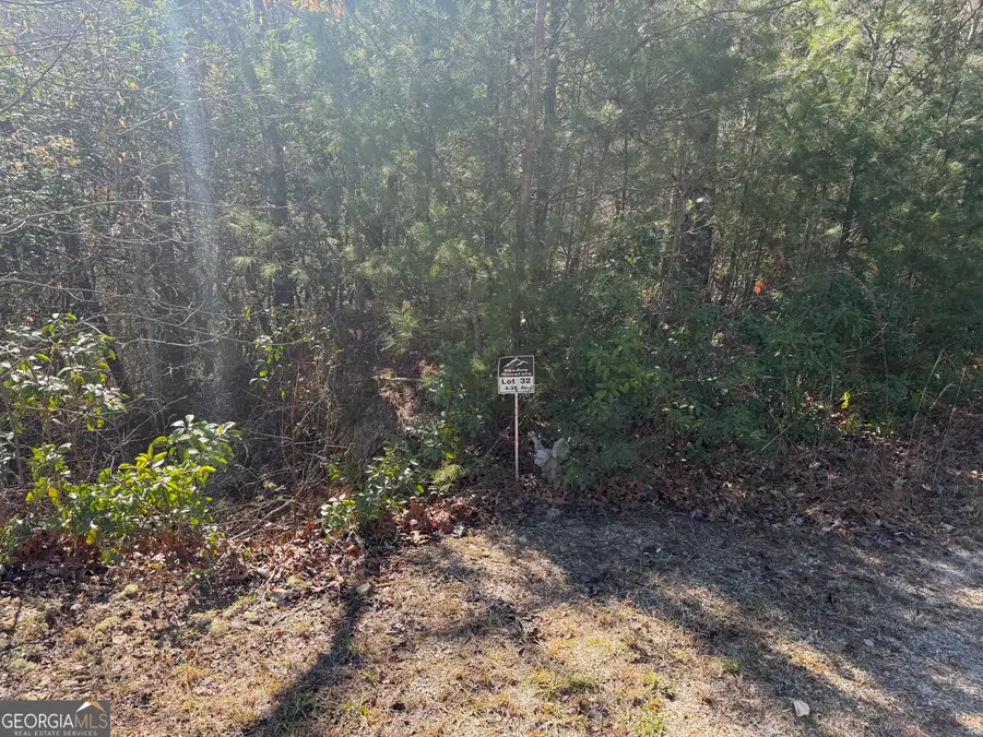 0 Shadow Mountain Drive #32, Dillard, GA 30537 - #2