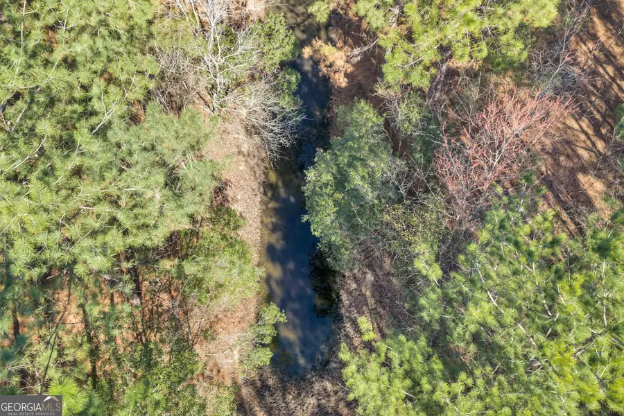 423 Livingston Road, Adel, GA 31620 - #2