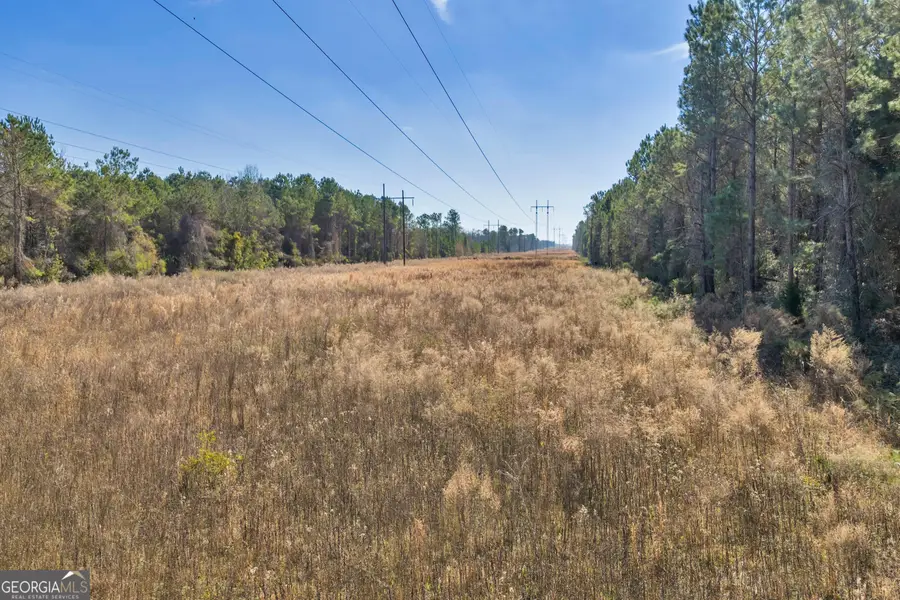 423 Livingston Road, Adel, GA 31620 - #3