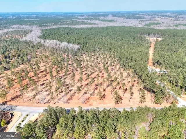 1809 Flat Rock Church Road, White Plains, GA 30678 - #2