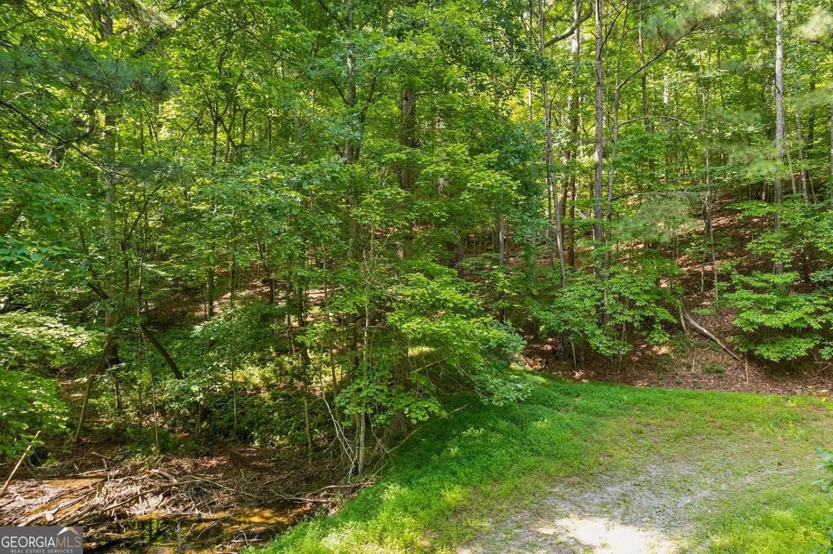 0 Noah Court, Ellijay, GA 30540 - #1