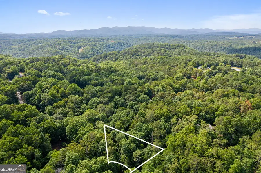0 Noah Court, Ellijay, GA 30540 - #3