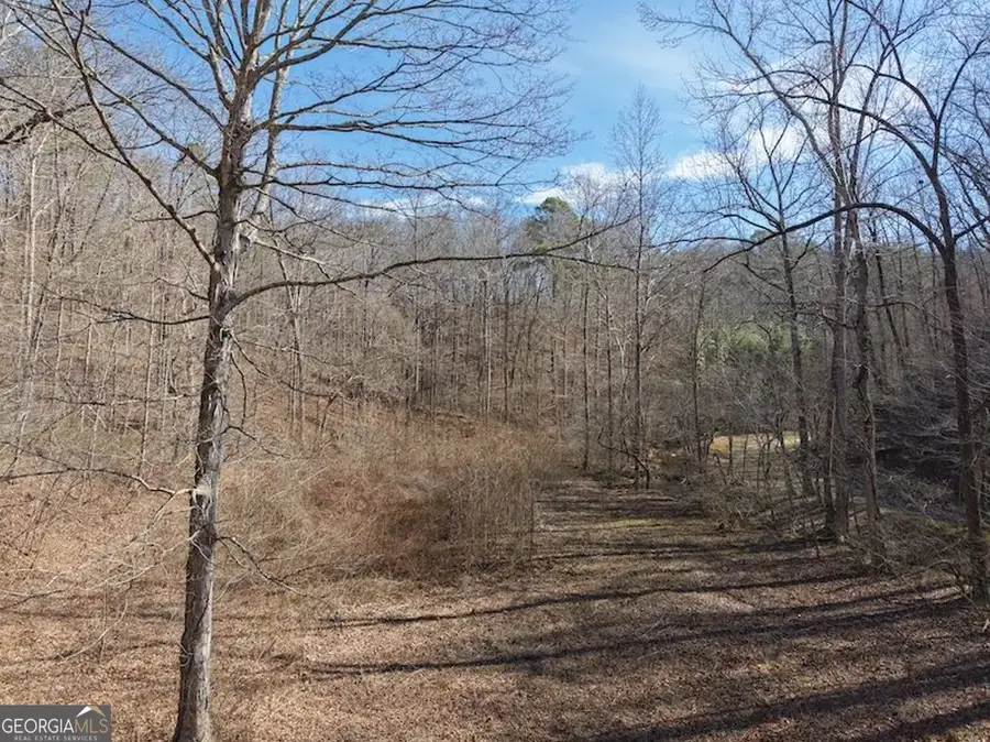 003 Rambling Road, Fairmount, GA 30139 - #3