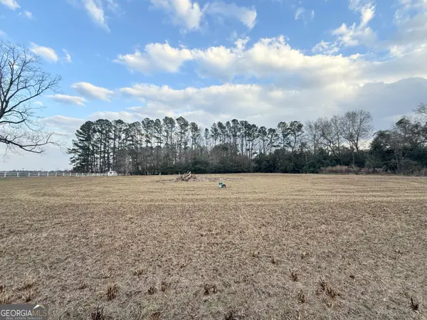 00 Jim Hendrix Lane, Claxton, GA 30417