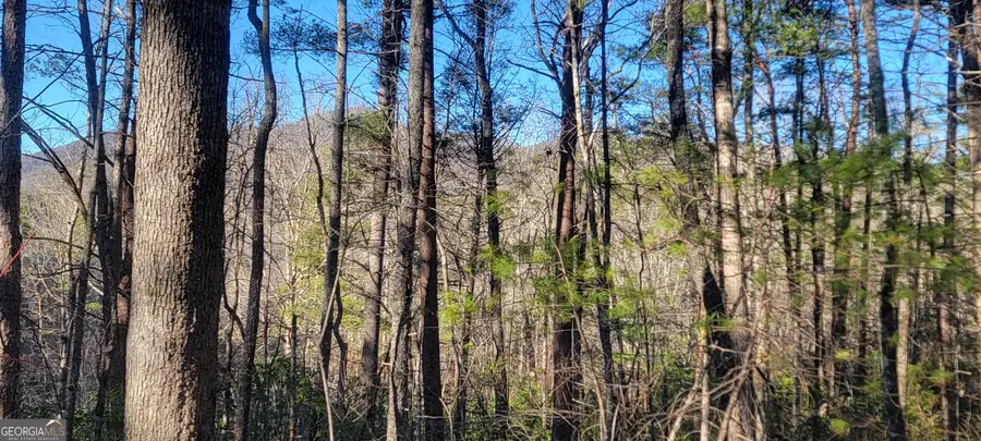 0 Underwood Lane, Clayton, GA 30525 - #2