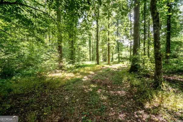 0 Wagers Mill Road #20+/- ACRES, Newnan, GA 30263