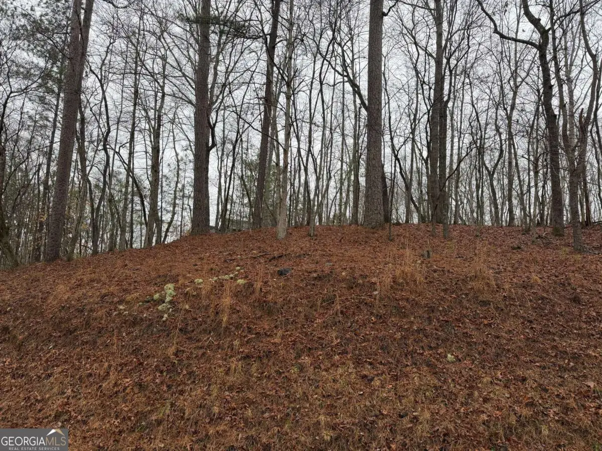 LOT 452 Joliet Drive, Ellijay, GA 30540 - #1