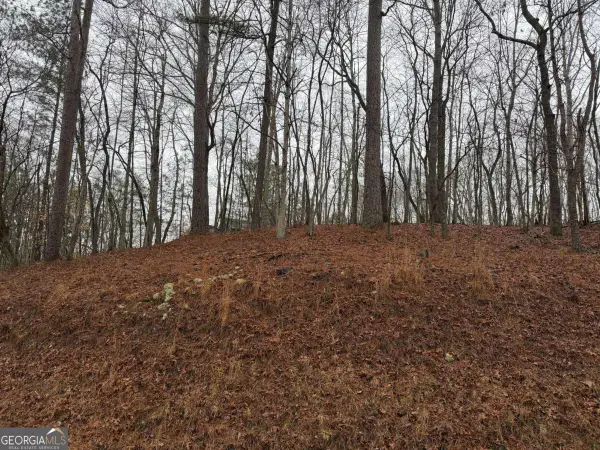 LOT 452 Joliet Drive, Ellijay, GA 30540