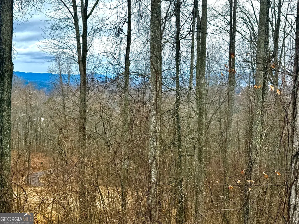 LOT 7 Rocky Knob Drive #7, Young Harris, GA 30582 - #1
