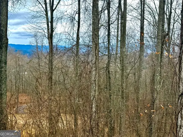 LOT 7 Rocky Knob Drive #7, Young Harris, GA 30582