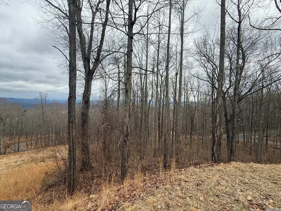 LOT 7 Rocky Knob Drive #7, Young Harris, GA 30582 - #3