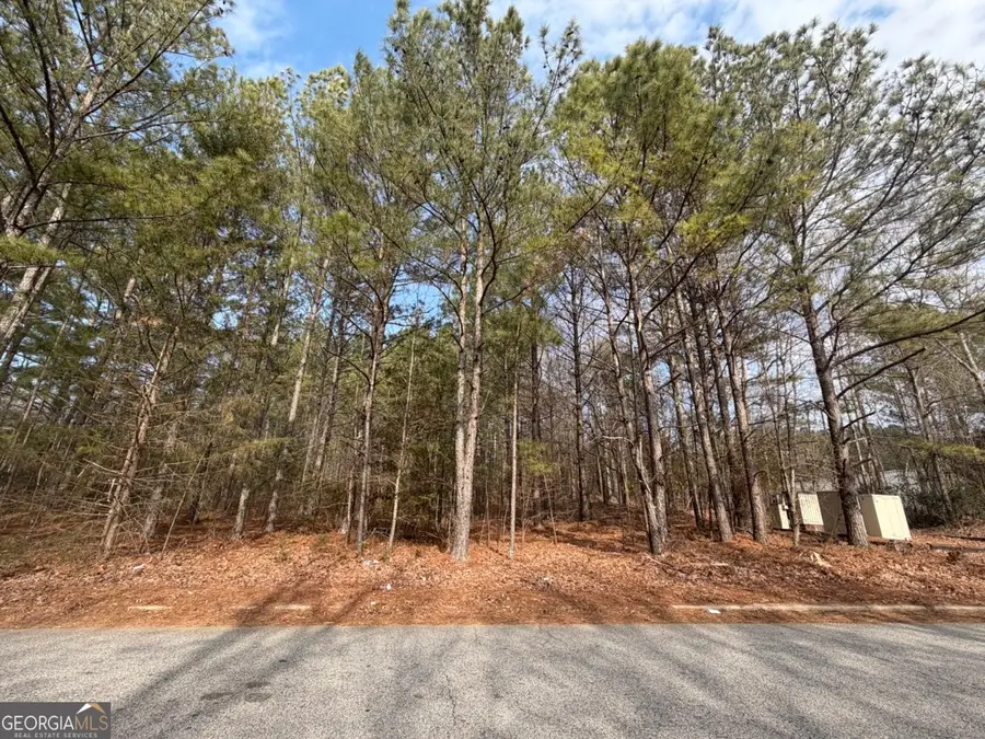 0 Carnes Drive, Fayetteville, GA 30214 - #2