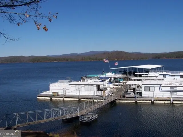 1235 Crown Court, Ranger, GA 30734 - #3