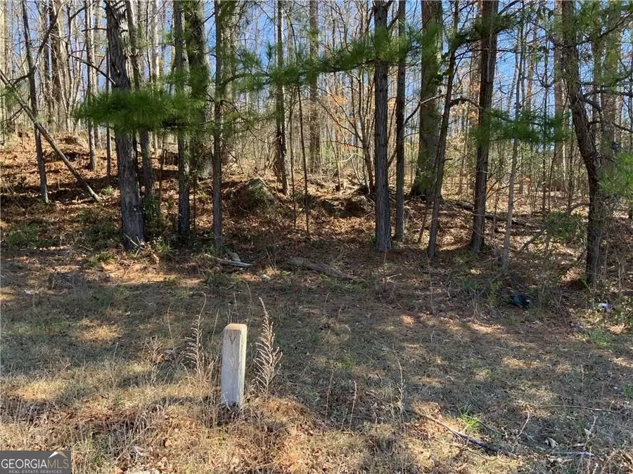 2324 Carrington Drive, Ellenwood, GA 30294 - #3