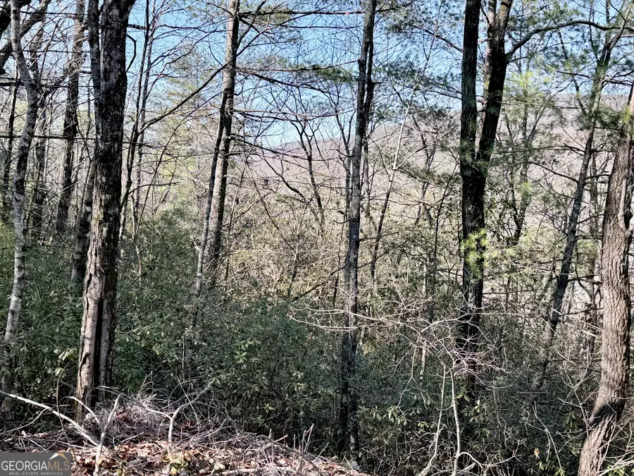 0 Rabun Bluffs Dr, Lakemont, GA 30552 - #3