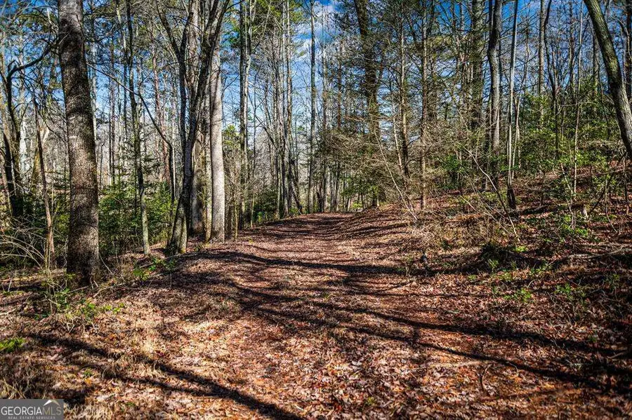 TRACT C Captains Cove, Blairsville, GA 30512 - #3