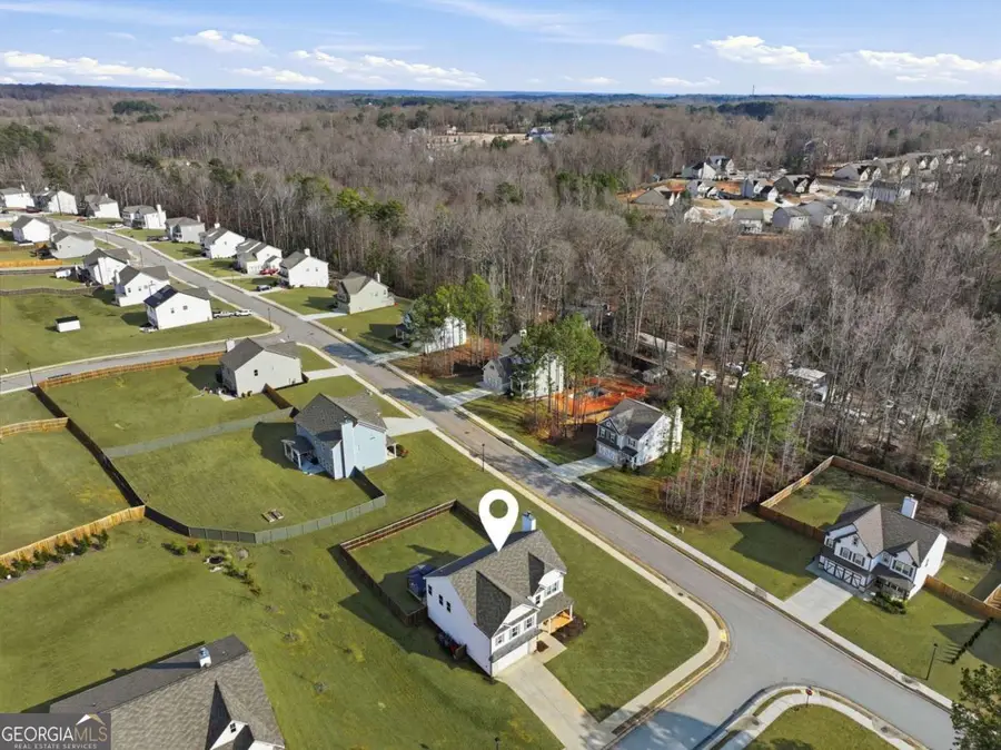 1006 Mallard Point, Hoschton, GA 30548 - #2