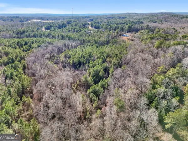 21.7+/- AC Franklin Parkway, Franklin, GA 30217