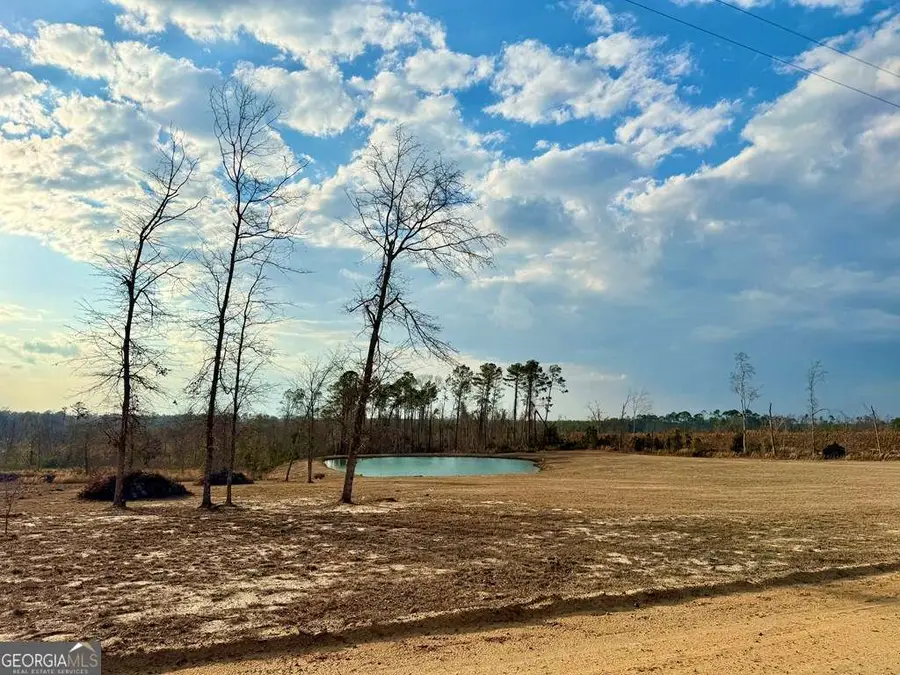 79 Hester Road, Hazlehurst, GA 31539 - #2