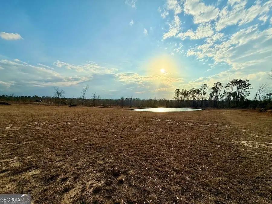 79 Hester Road, Hazlehurst, GA 31539 - #3