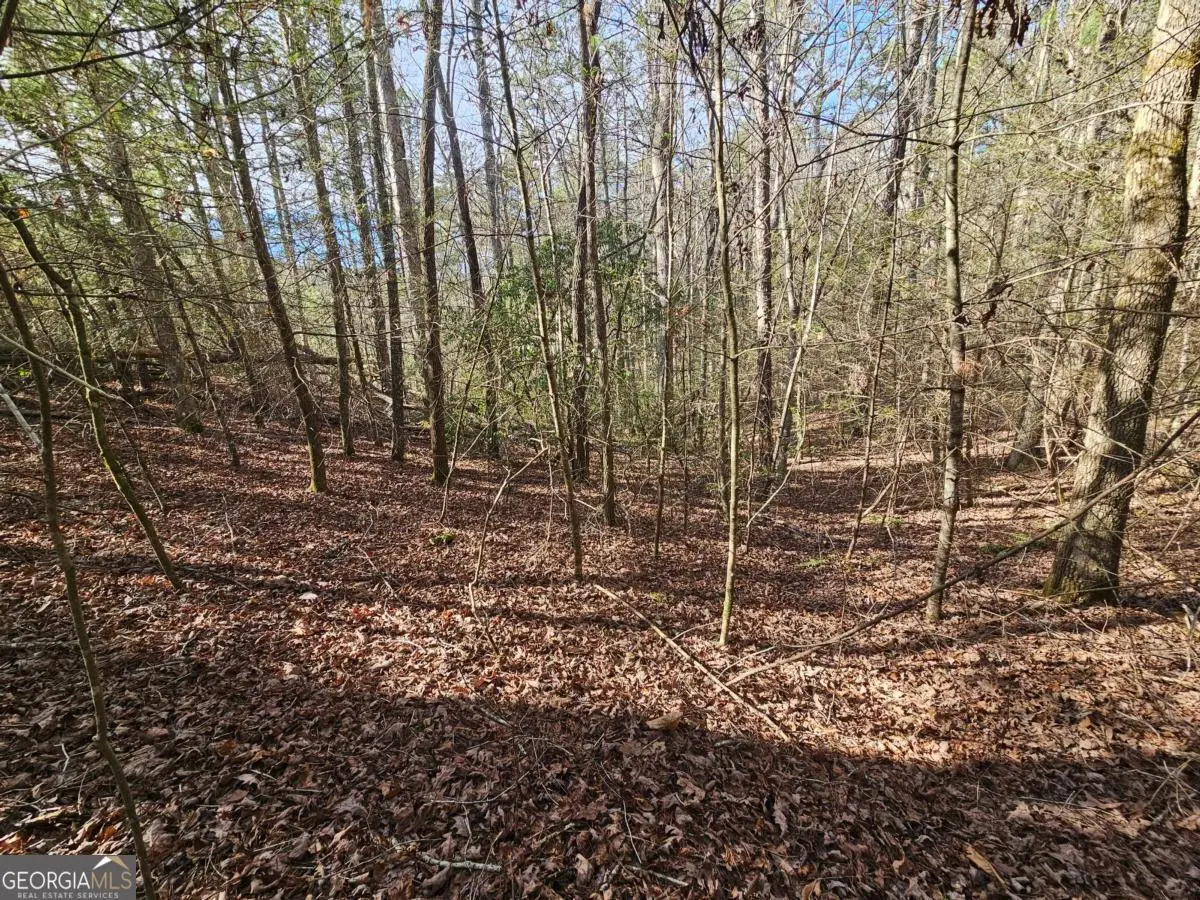 LOT 77 Roaring Forks Lane #77, Ellijay, GA 30540 - #1