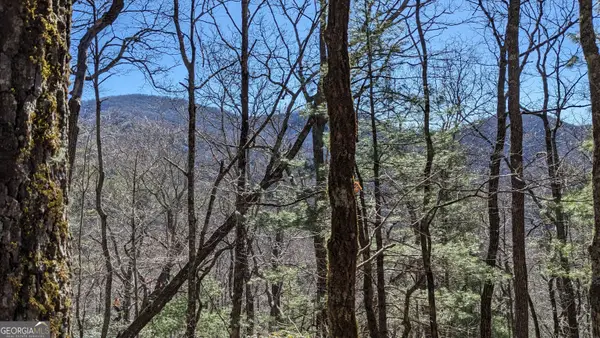 0 LOT 111 Ridgepole Drive Drive, Sky Valley, GA 30537