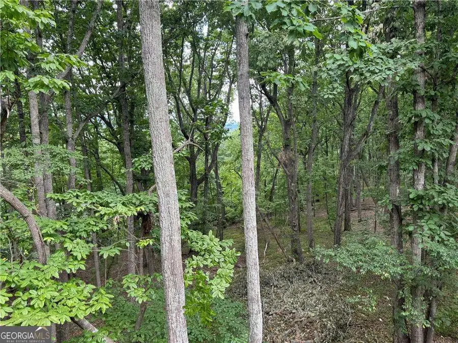 2595 Highland Pointe Drive, Cumming, GA 30041 - #2