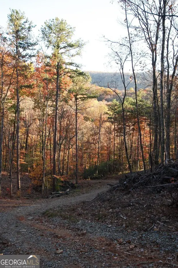 LOTS 29A/B Paradise Lane, Ellijay, GA 30540 - #1
