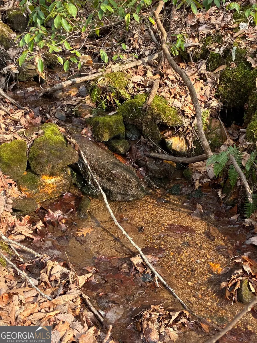 LOTS 29A/B Paradise Lane, Ellijay, GA 30540 - #3