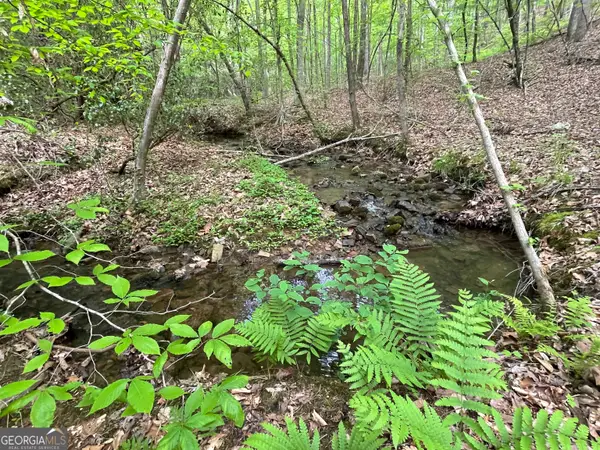 0 Everett Springs Road, Armuchee, GA 30105