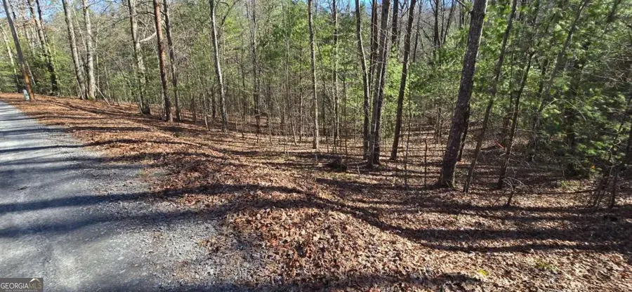 LOT 12 Oak Loop #12, Mineral Bluff, GA 30559 - #2