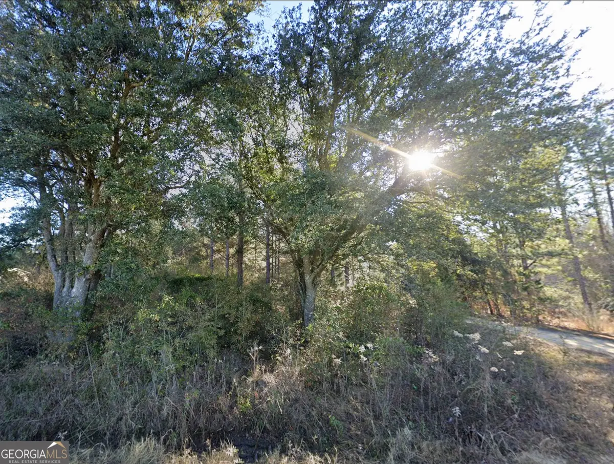 0 Lambert Lane, Sylvester, GA 31791 - #1