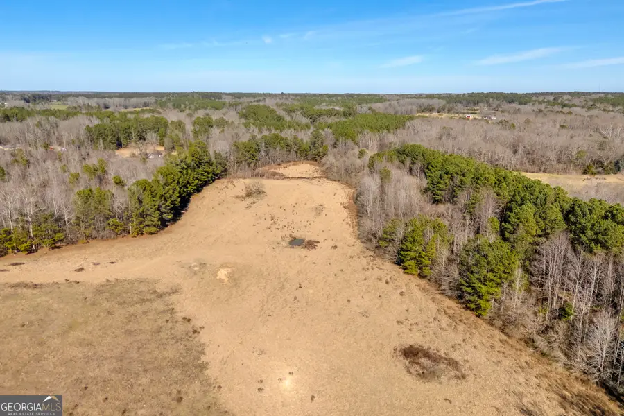 1681 Sibley School Road, Greensboro, GA 30642 - #3