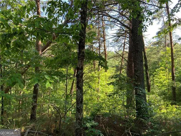 1335 Birch Lane, Ranger, GA 30734