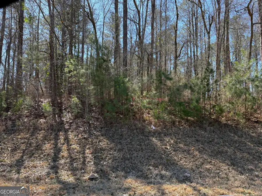 0 New Hutchinson Mill Road, Lagrange, GA 30240 - #3