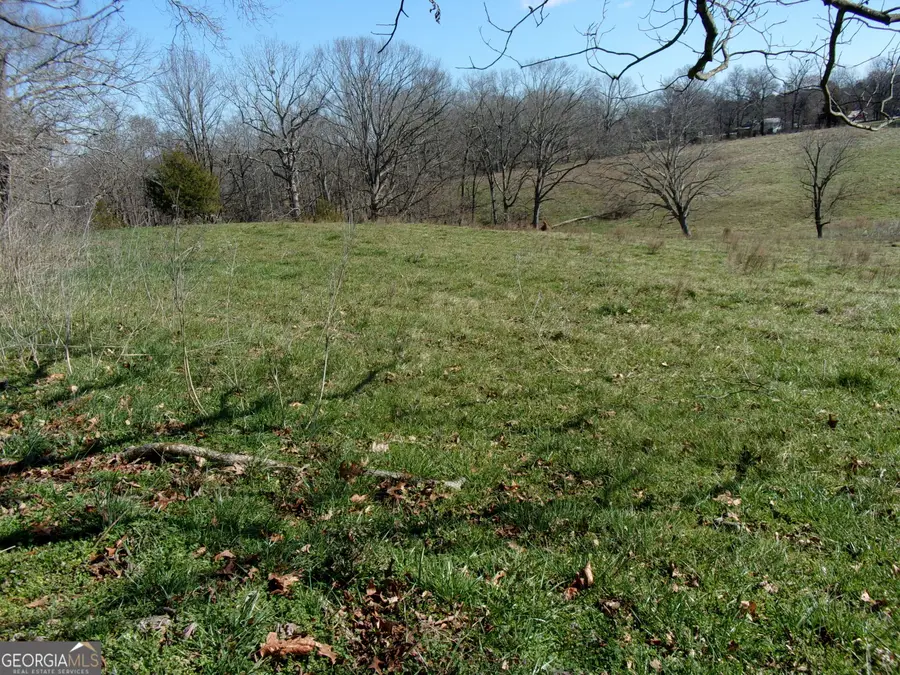 6615 Hwy 174, Danielsville, GA 30633 - #3