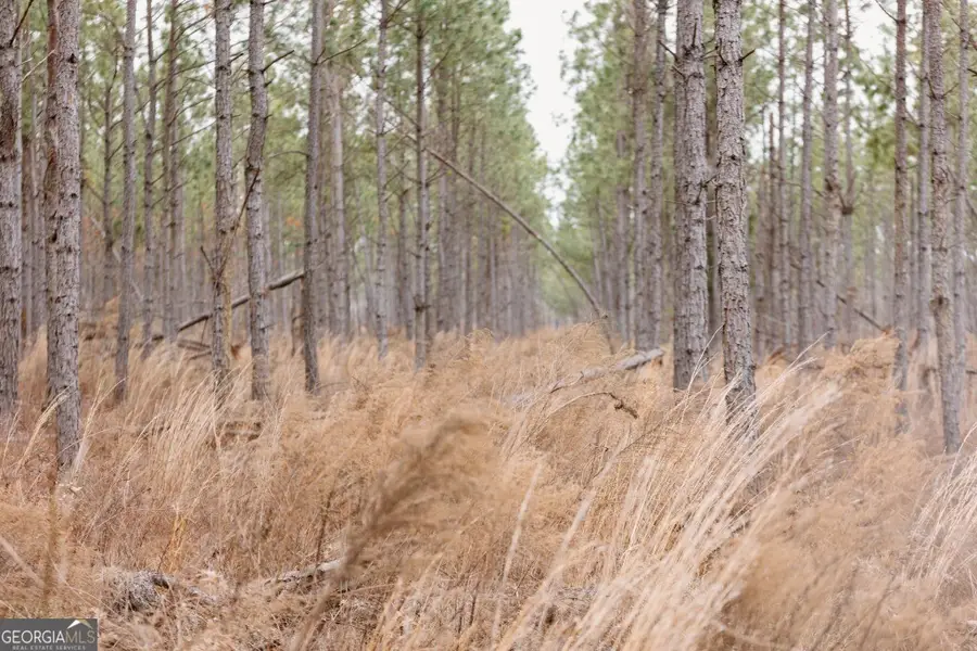 0 Bunn Store Road #TRACT 2, Midville, GA 30441 - #2