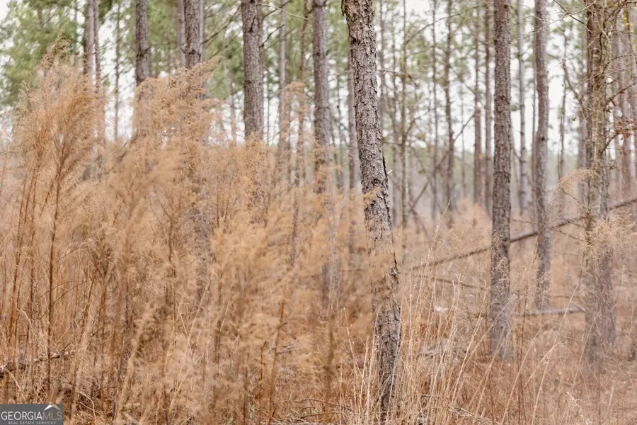 0 Bunn Store Road #TRACT 2, Midville, GA 30441 - #3