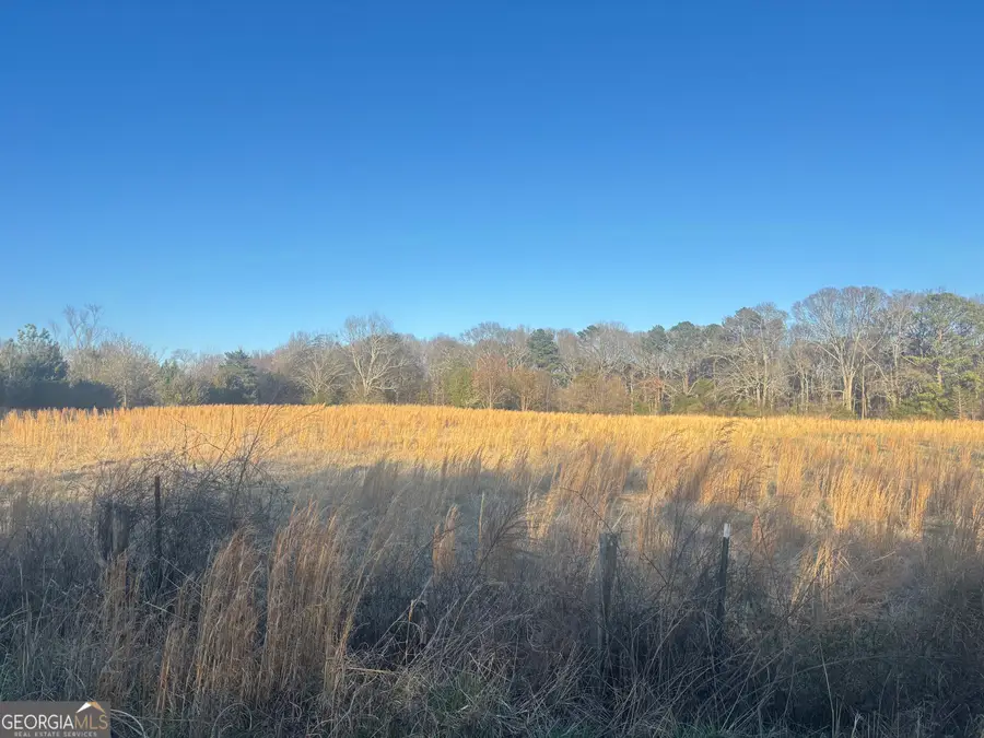 0 Thurman Baccus Rd, Social Circle, GA 30025 - #3