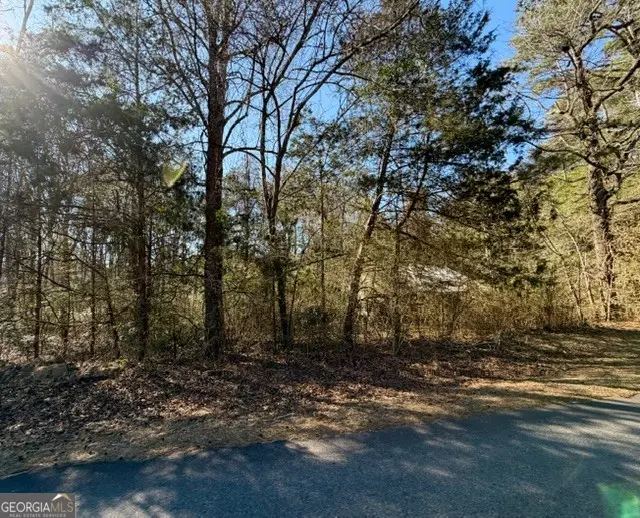 184 S Smith Road, Lagrange, GA 30241 - #1