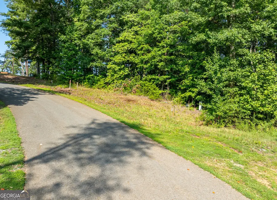 LOT 34 Winfield Circle, Blue Ridge, GA 30513 - #2