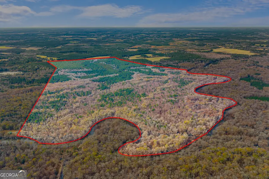 1000 Old River Road S, Brooklet, GA 30415 - #2