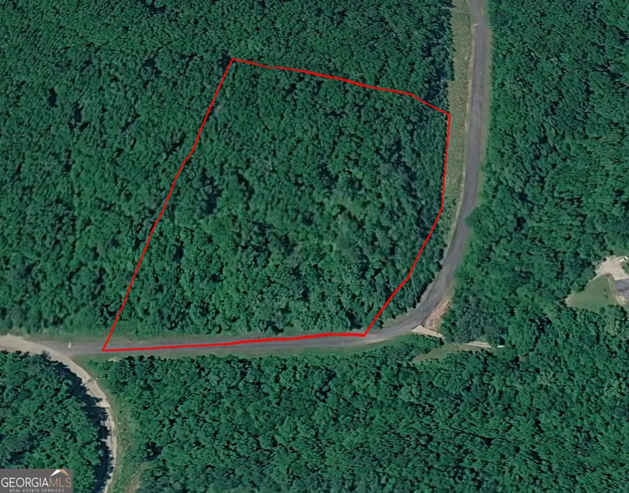 0 Lookout View Drive, Summerville, GA 30747 - #3