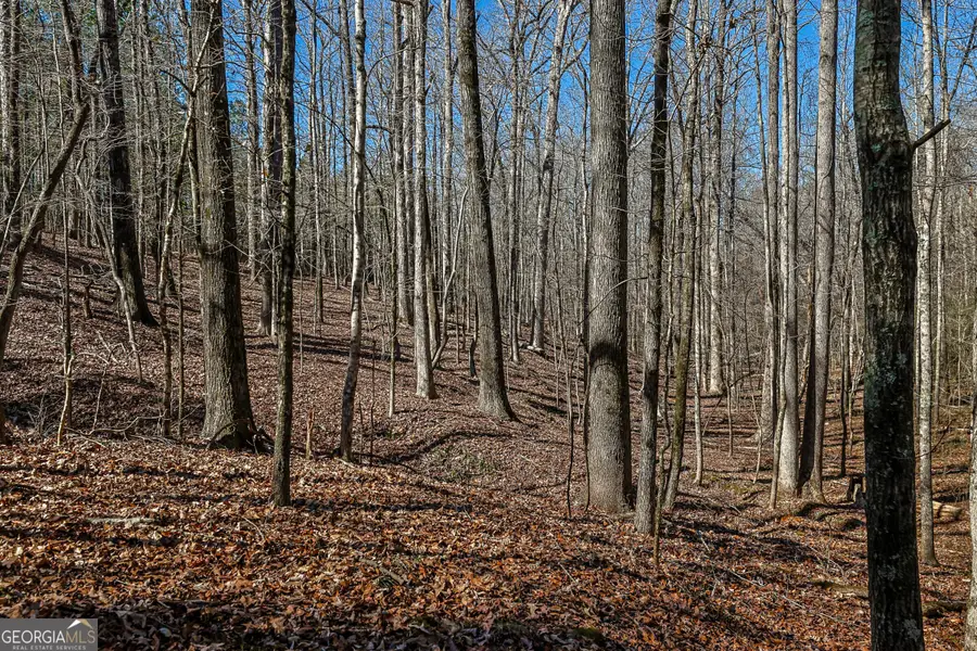 TBD Old Zebulon Road, Forsyth, GA 31029 - #3