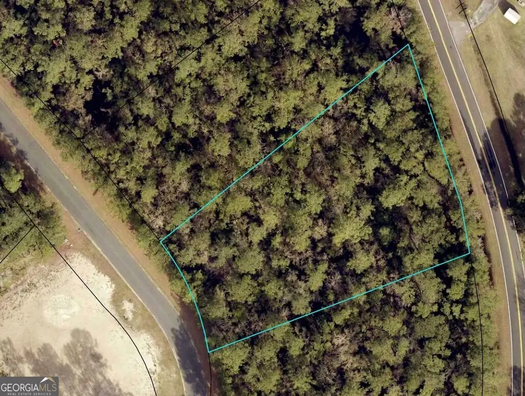 V/L 10 Marina Isle Drive, Woodbine, GA 31569 - #1